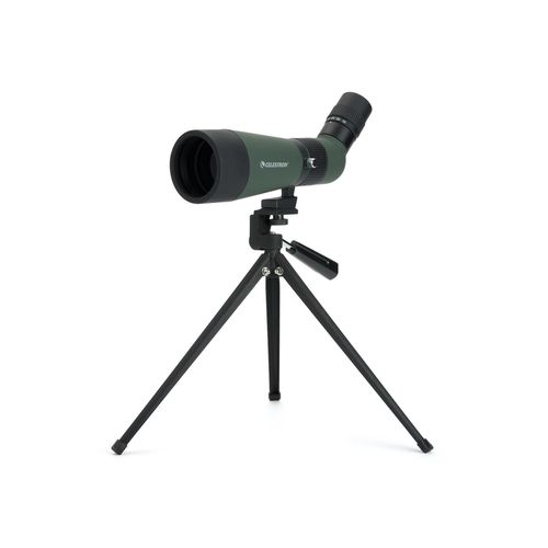 meilleur rapport qualite prix longue vue celestron