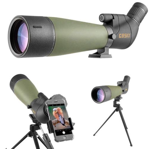 meilleure longue vue observation des oiseaux