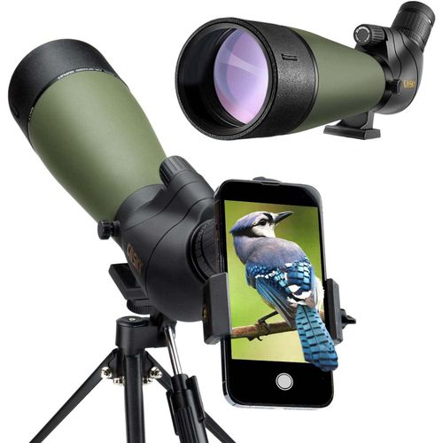 top longue vue gosky